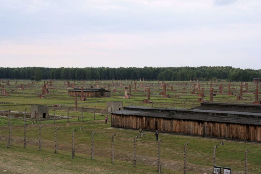 From Katowice: Auschwitz-Birkenau Skip-the-Line Guided Tour - Who will benefit most from this experience?