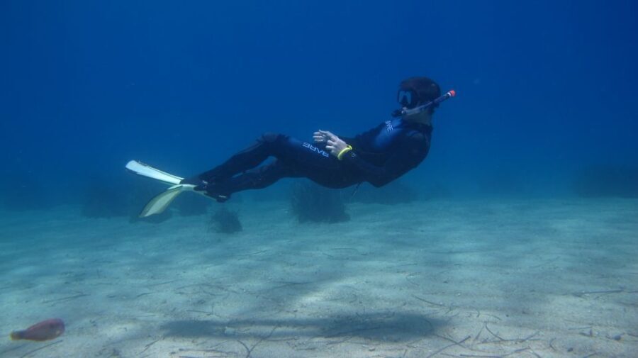 From Kos: Pserimos Island Snorkeling Cruise by Diving Boat - The Marine Experience: What Youll See and Learn
