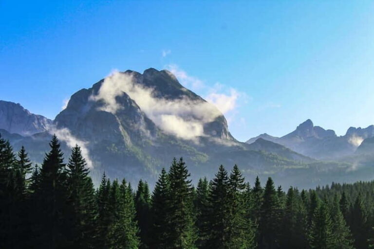 From Kotor: Montenegro Tara Rafting - Experience Value & Practical Considerations