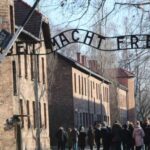 From Krakow: Auschwitz-Birkenau and Self-Guided Day Tour - Who Will Enjoy This Tour?
