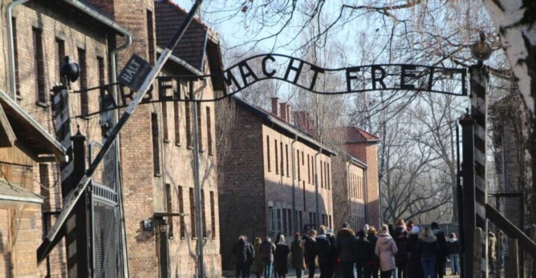From Krakow: Auschwitz-Birkenau and Self-Guided Day Tour - Who Will Enjoy This Tour?