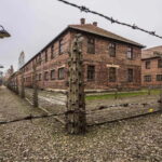 From Krakow: Auschwitz-Birkenau Guided Tour with Transfer - The Sum Up: Who Is This Tour Best For?
