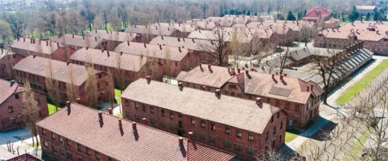 From Krakow: Auschwitz-Birkenau Tour with Transportation - What’s Included and What’s Not