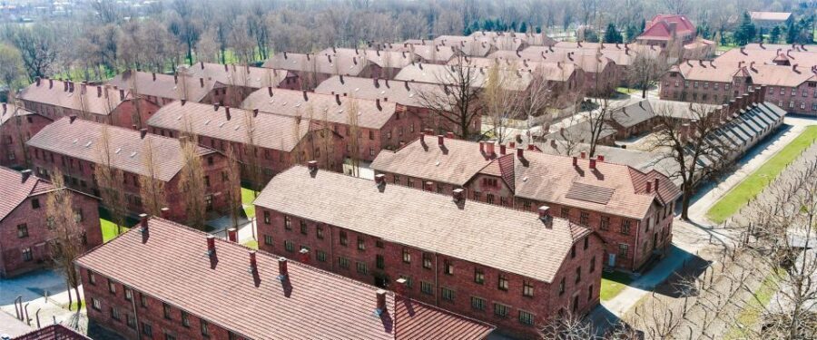 From Krakow: Auschwitz-Birkenau Tour with Transportation - What’s Included and What’s Not