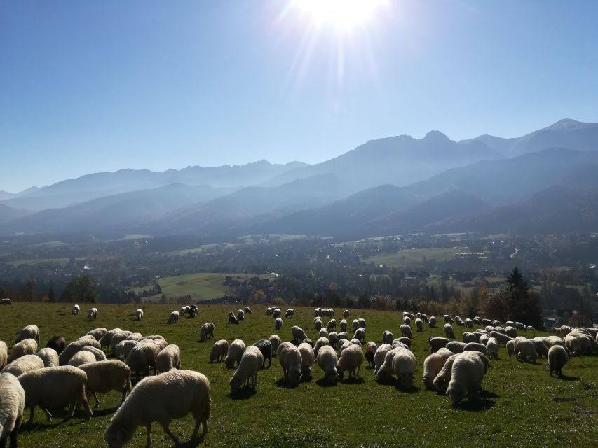 From Krakow: Dunajec River Rafting and Zakopane Town Tour - Practical Details and Value