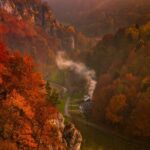 From Kraków: Ojców National Park and Pieskowa Skaa Castle - Practical Considerations and Review Insights