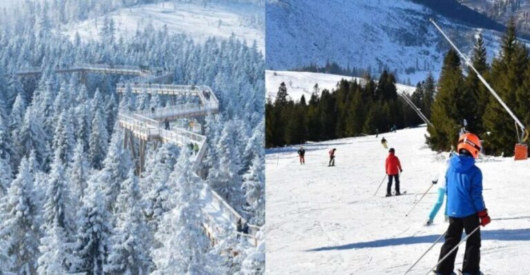 From Kraków: Slovakia Treetop Walk & 4-Hour Ski Pass - Who Would Love This Tour?