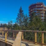 From Krakow: Slovakia Treetop Walk, Zakopane & Thermal Spa - Who Is This Tour Best For?