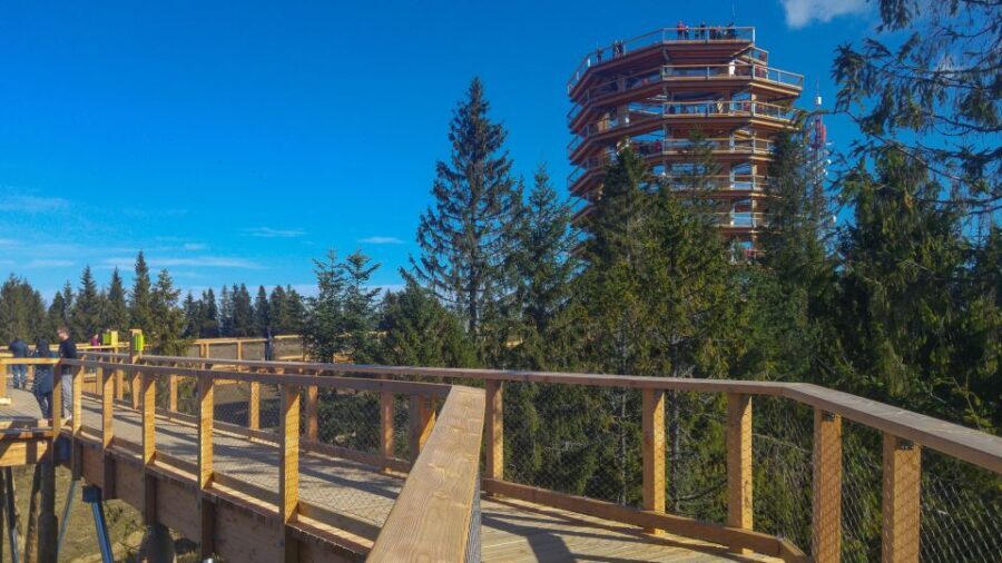 From Krakow: Slovakia Treetop Walk, Zakopane & Thermal Spa - Who Is This Tour Best For?