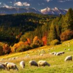 From Krakow: Zakopane and Thermal Baths with Optional Lunch - The Itinerary Breakdown