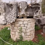 From Kusadasi: Priene, Miletus, and Didyma Private Tour - Who Will Love This Tour?