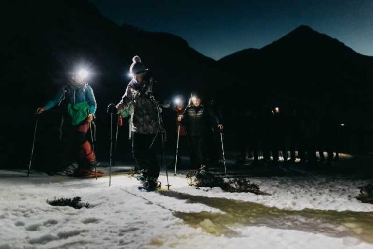 From La Raya: Night Snowshoe Tour in Asturias - Who Will Love This Tour?