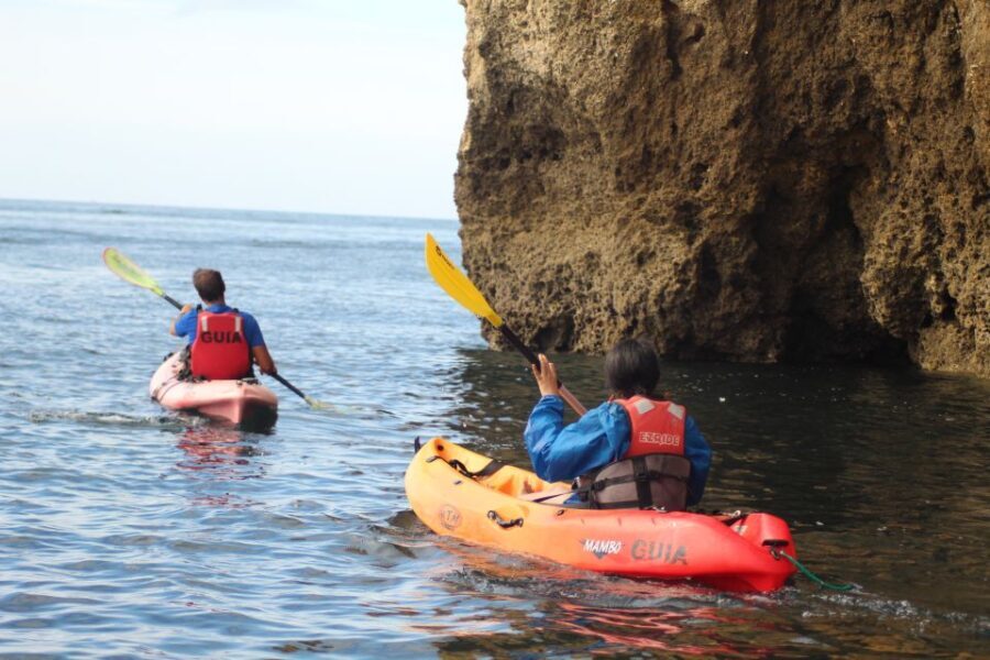 From Lagos: Algarve Coast and Caves by Kayak - Authentic Reviews: What Travelers Say