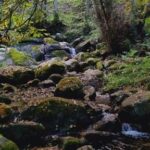 From Lagos: Monchique Private Guided Hike + Medronho Tasting - Value and Practicality