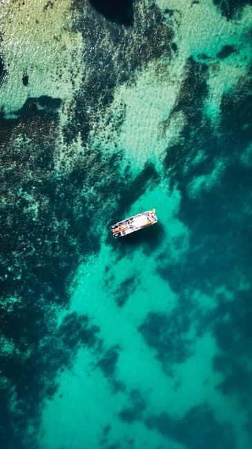 From Lagos: Ponta da Piedade Caves Kayak Tour from Catamaran - Practical Details Worth Knowing