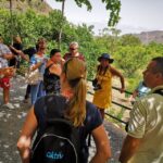 From Las Palmas: Full-Day Tour of the North - Transportation and Group Size