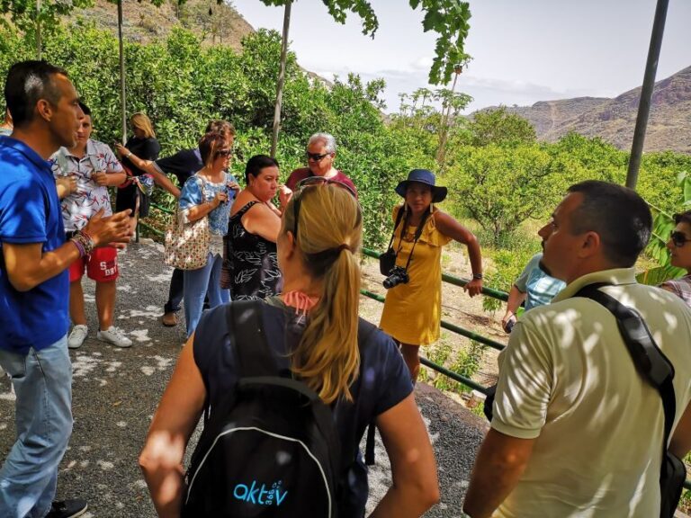 From Las Palmas: Full-Day Tour of the North - Transportation and Group Size