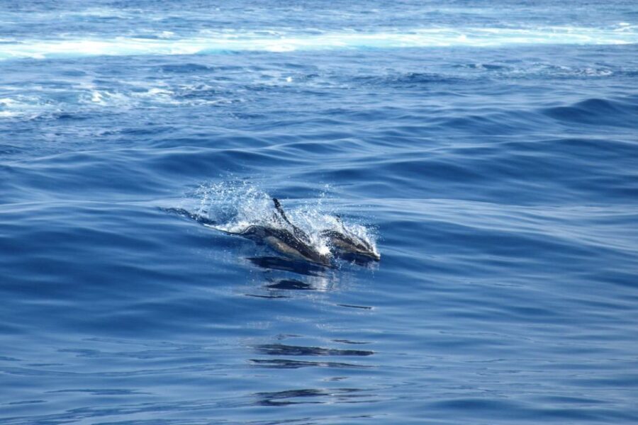 From Lefkimmi: Corfu, Kavos Party Booze Cruise - The Itinerary Breakdown: Why It Works