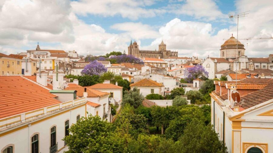 From Lisbon: Évora Tour with Wine Tasting included - Who Will Love This Tour?