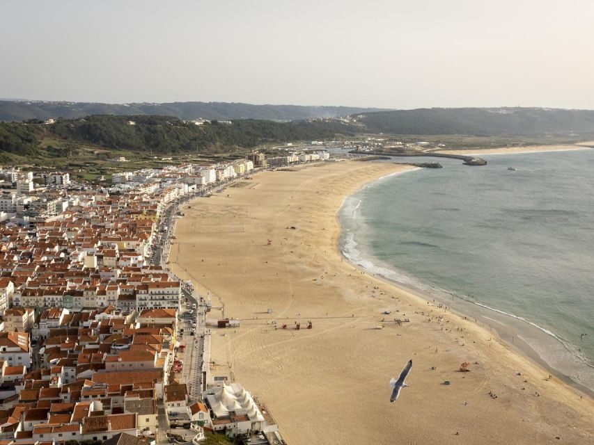 From Lisbon: Fátima, Nazaré and Sintra Guided Tour - Authentic Experiences and Reviewer Insights