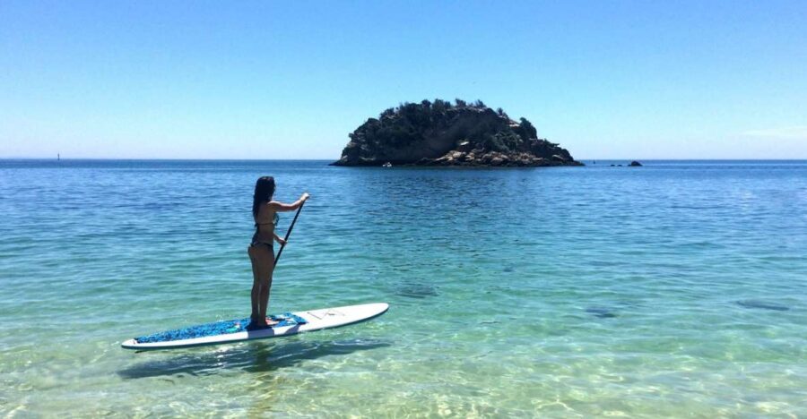 From Lisbon: Nature Park of Arrábida Paddleboarding - The Itinerary in Detail
