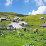 From Ljubljana: Velika Planina Guided Hike - Who Will Love This Experience?