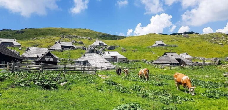 From Ljubljana: Velika Planina Guided Hike - Who Will Love This Experience?