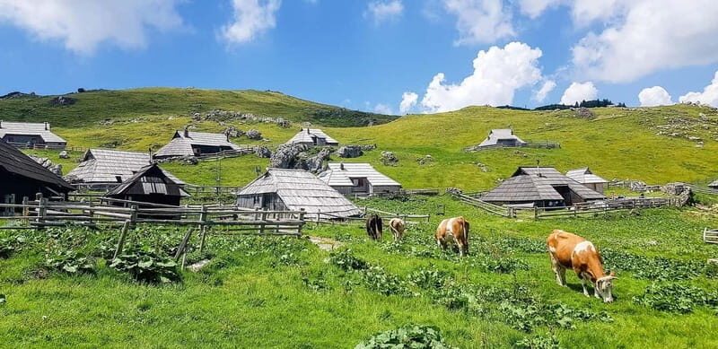 From Ljubljana: Velika Planina Guided Hike - Who Will Love This Experience?