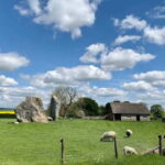 From London: Stonehenge & The Stone Circles of Avebury Tour - Who Should Book This Tour?