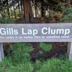 From London: Winnie-the-Pooh's Hundred Acre Wood Day Tour - Who Would Love This?