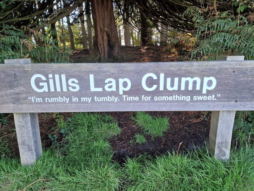 From London: Winnie-the-Pooh's Hundred Acre Wood Day Tour - Who Would Love This?