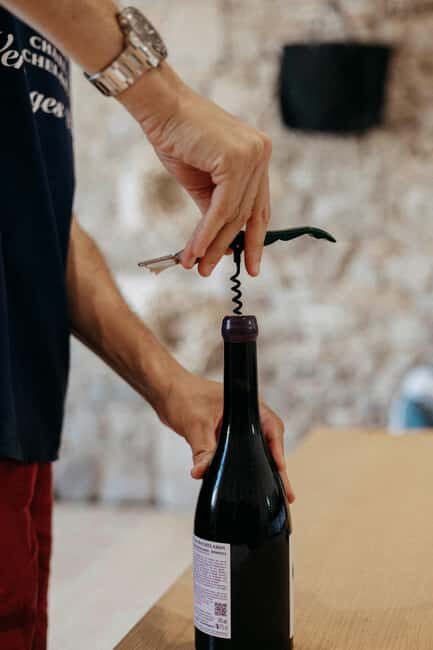 From Lyon: Beaujolais Wine Route Half-Day Tour - Exploring the Vineyards: From Large Estates to Family Wineries