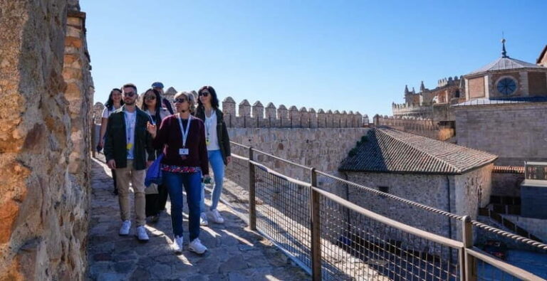 From Madrid: Avila & Segovia Day Tour with Monument Tickets - Who Is This Tour Best For?