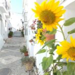 From Málaga: Frigiliana Hiking Tour with Wine & Appetizers - What Makes This Tour Stand Out
