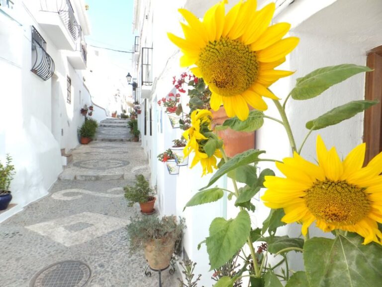 From Málaga: Frigiliana Hiking Tour with Wine & Appetizers - What Makes This Tour Stand Out