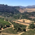 From Marbella: Ronda Tour Wineries Tour with Lunch - First Winery: The Award-Winning Producer