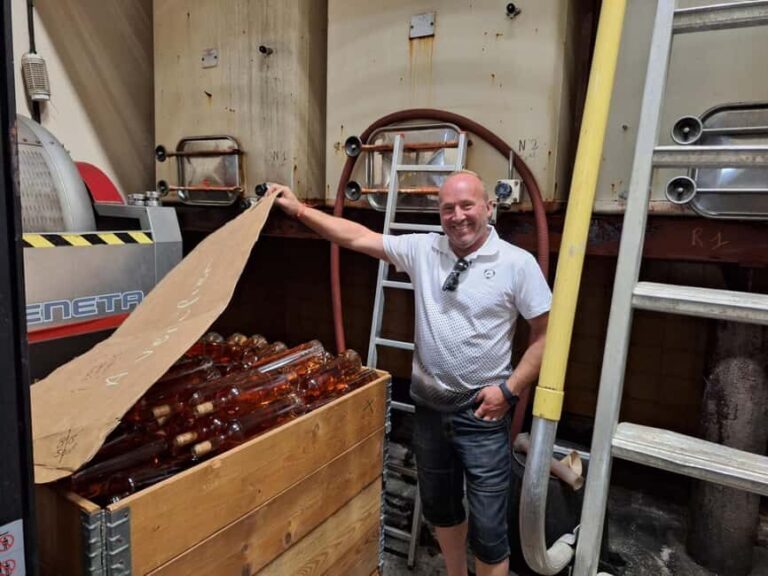 From Marseille: Bandol/Cassis Wine Tour with Viewpoint - The Value of This Tour