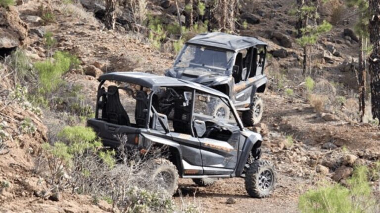 From Maspalomas: Volcanic Landscapes 4-Seater Buggy Tour - Why This Tour Offers Great Value
