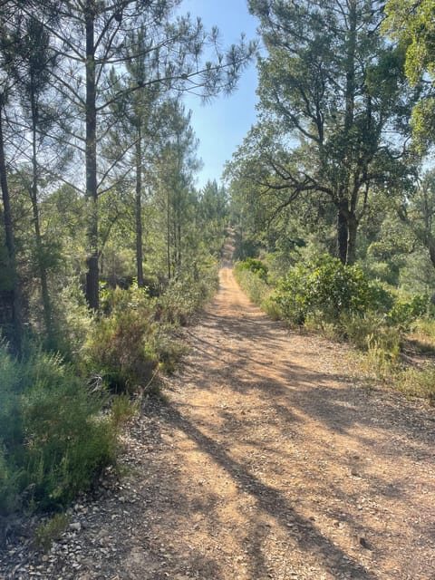From Montemor or Évora: Guided Hike to Almendres Megalithic - More About the Experience