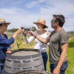From Montpellier: Half-Day Vineyard & Pic Saint-Loup Tour - Analyzing the Value & Practicalities