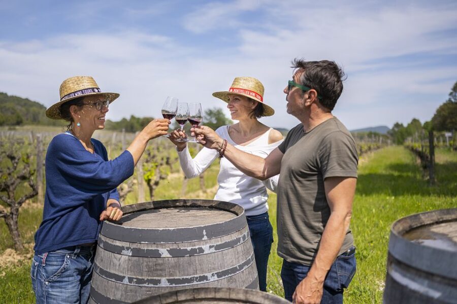 From Montpellier: Half-Day Vineyard & Pic Saint-Loup Tour - Analyzing the Value & Practicalities