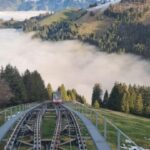 From Montreux, Bern or Fribourg : Gruyères region TOUR - Practical Details and Value Analysis