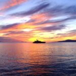 From Mykonos: Afternoon Delos Cruise & Guided Tour - What to Expect from the Itinerary