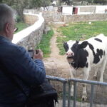 From Mykonos: Ano Mera Farm Tour - Whats the Value?
