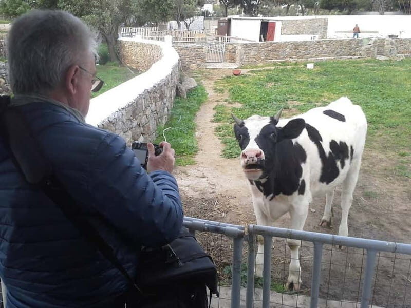 From Mykonos: Ano Mera Farm Tour - Whats the Value?