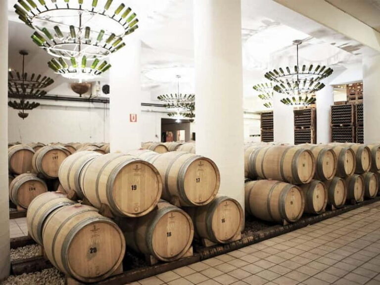 From Nafplio: Nemea, Wine Tasting Tour with Local Flavours - What’s Included and What You Might Want to Consider