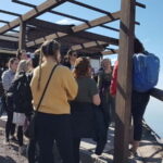 From Naples: Day Trip to Mount Vesuvius - Who Is This Tour Best For?