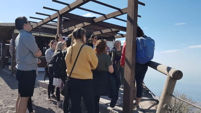 From Naples: Day Trip to Mount Vesuvius - Who Is This Tour Best For?