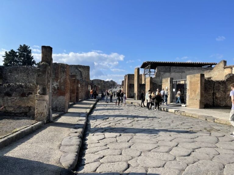 From Naples: Pompeii Guided Tour with Skip-the-Line Tickets - Authentic Experiences and Real Reviews