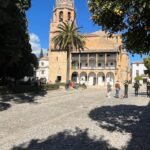 From Nerja/Almunecar: Ronda Day Trip with Hotel Pickup - Who Should Consider This Tour?